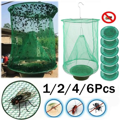 Reusable fly trap insect - fly,