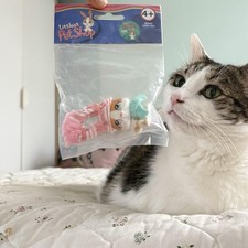 Littlest Pet Shop Rabbit #75