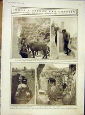 Original Old Antique Print