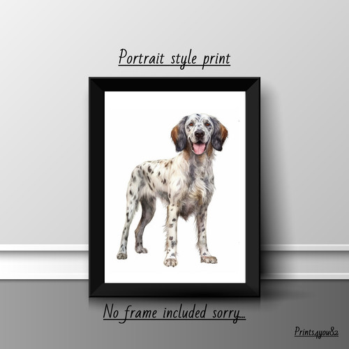 English setter print - english,