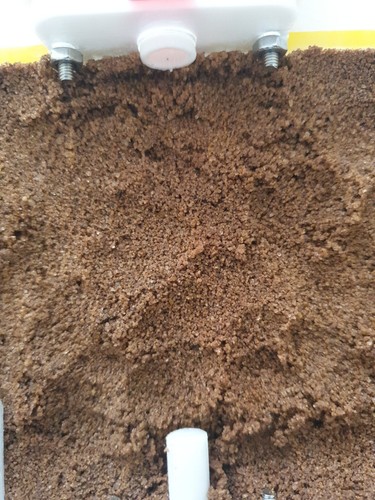Ant farm nest formicarium - ant,