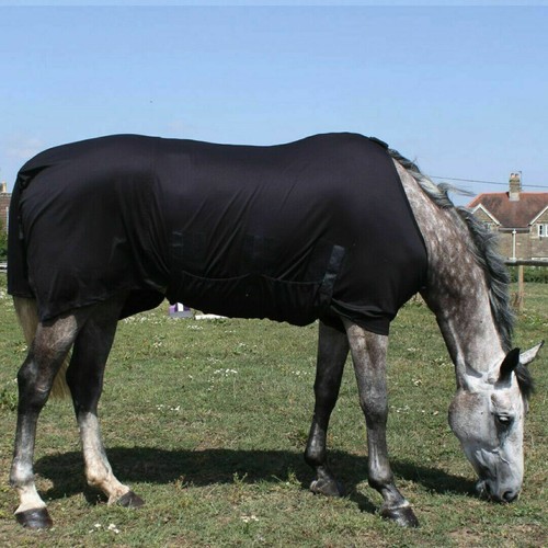 Snuggy hoods winter under - hoods,
