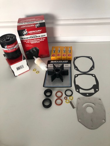 Mercury mariner 100hr service - mariner,