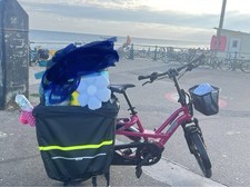 Tern GSD S10 E Cargo Bike low