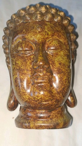 Buddha head - buddha, head:in