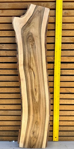 European walnut live edge - walnut, slab
