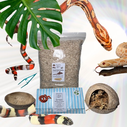 Snake starter pack great - starter,