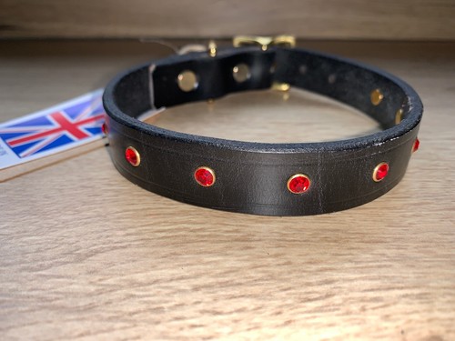 Black dog collar - collar, real