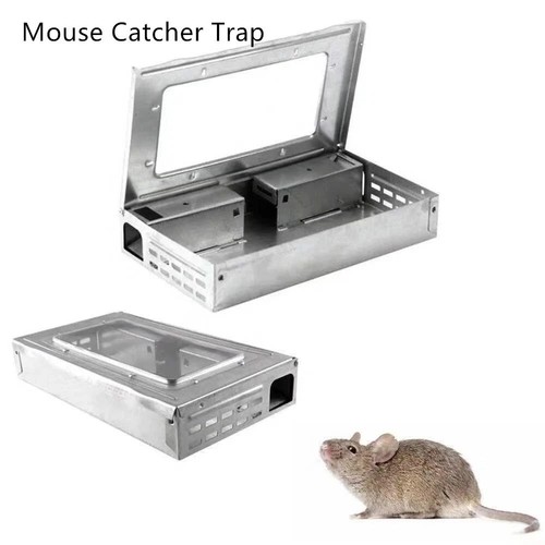 Rat mouse trap - mouse, live