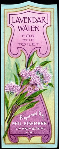Vintage bottle label - bottle,