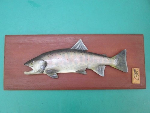 Japanese yamame trout - japanese,