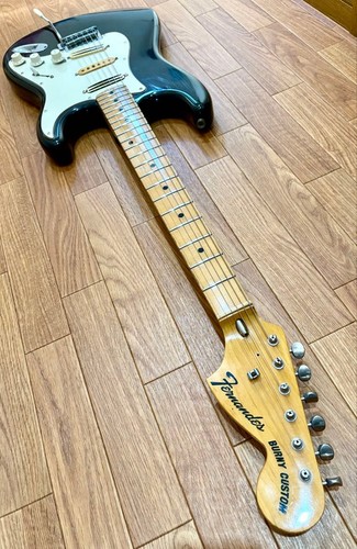 Fernandes burny custom - burny,