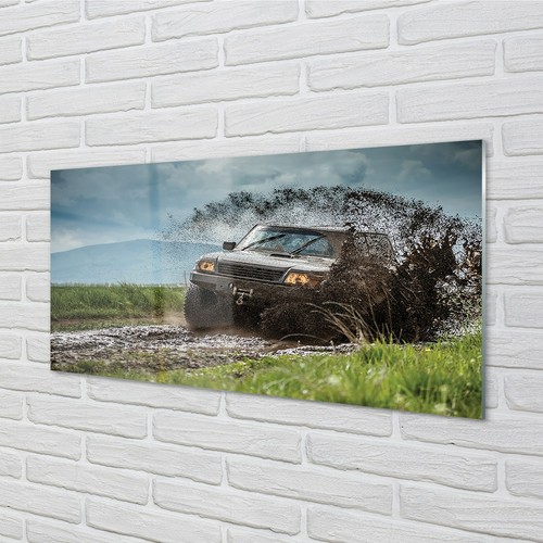 Tulup glass print 100x50 - glass,