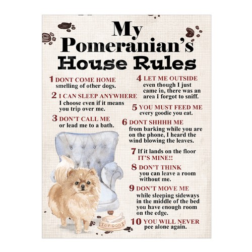 Pomeranian house rules - pomeranian's,