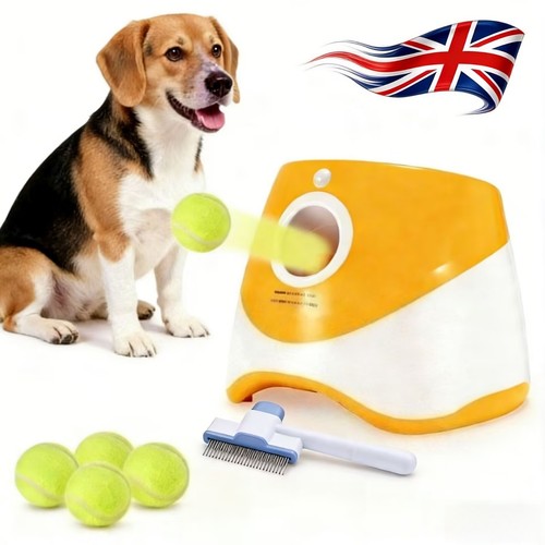 Dog automatic ball launcher - ball,