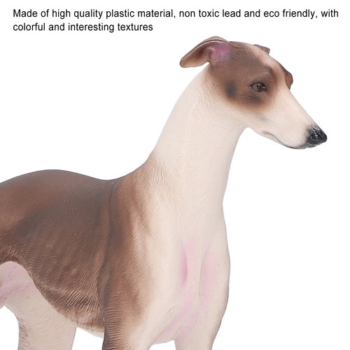 Realistic greyhound figure pet - figure,