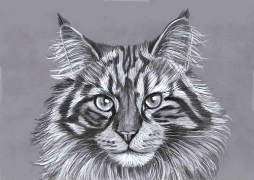 Original pencil artwork - original, b&w