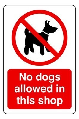 Dogs allowed this shop - dogs, in