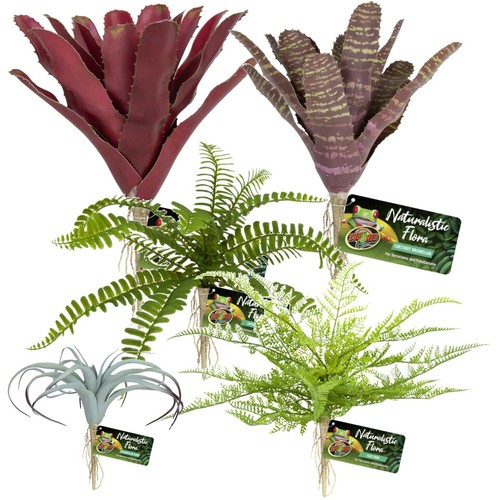 Zoomed plastic bromeliads - bromeliads, air