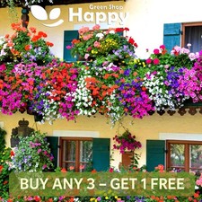 BALCONY FLOWER MIX 0.5g seeds