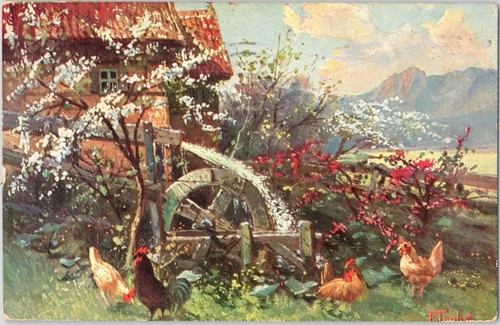 Rural water mill countryside - water,