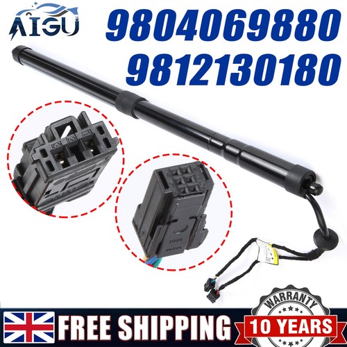 Electric tailgate gas - gas, struts
