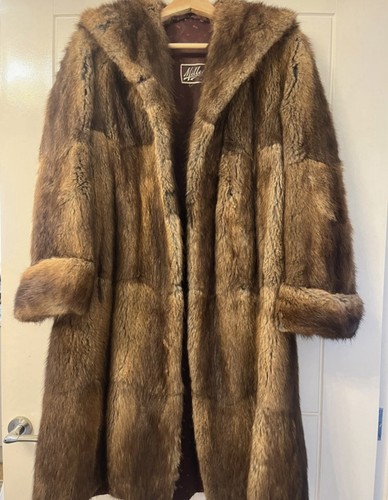 Fabulous musquash coat size - musquash,