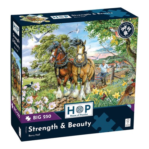 The house puzzles - the, of