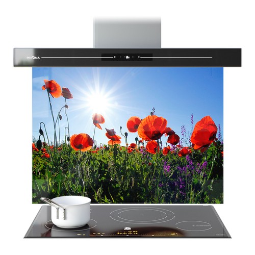 Kitchen glass splashback - kitchen,