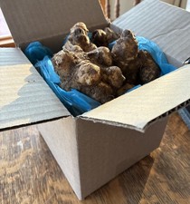 Jerusalem Artichokes, 3.5 lbs