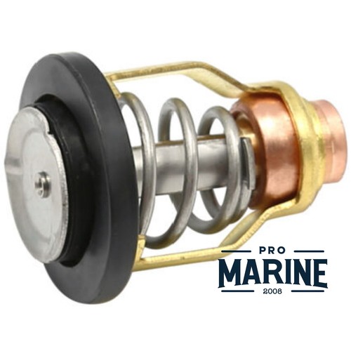 Thermostat for mercury - for,