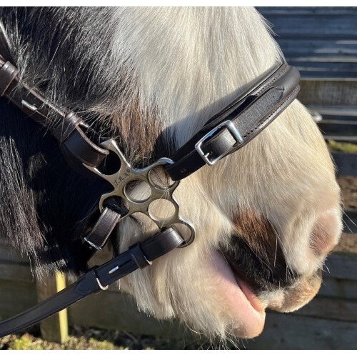 Calli bubbles hackamore - bubbles,
