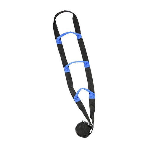 Bed ladder assist with - with, handle