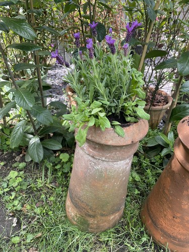 Victorian chimney pot - victorian,
