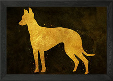 Greyhound dog Framed Wall Art