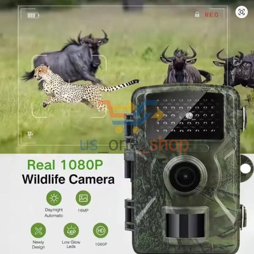 Wildlife hunting trail camera - wildlife,