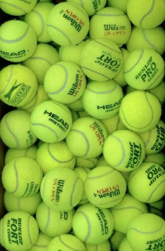 Used tennis balls for - dogs, ex