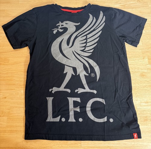 Liverpool black liverbird - liverpool,