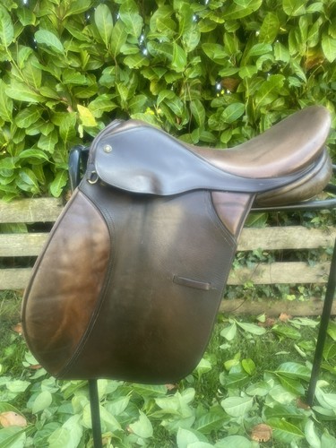 Fylde saddle working hunter - fylde,