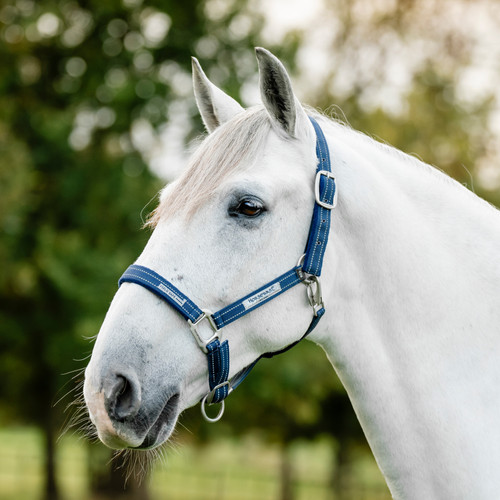 Horseware ireland field - ireland, safe