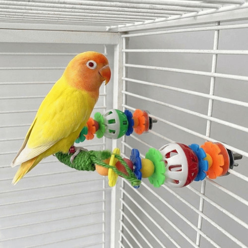 Parrot bird stand swing - bird,