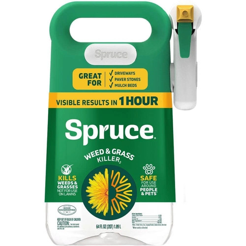 Spruce snap spray - spruce,