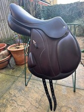 Equipe Synergy Special jump