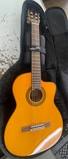 Takamine GC5CE-NAT G-Series