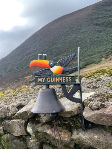 Goodness guinness style - goodness',