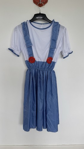 Wizard dorothy costume - oz,