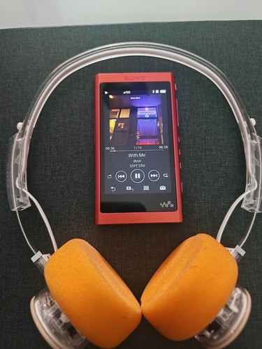 Sony a55 non - european, model