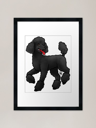 Dog standard poodle miami - -,