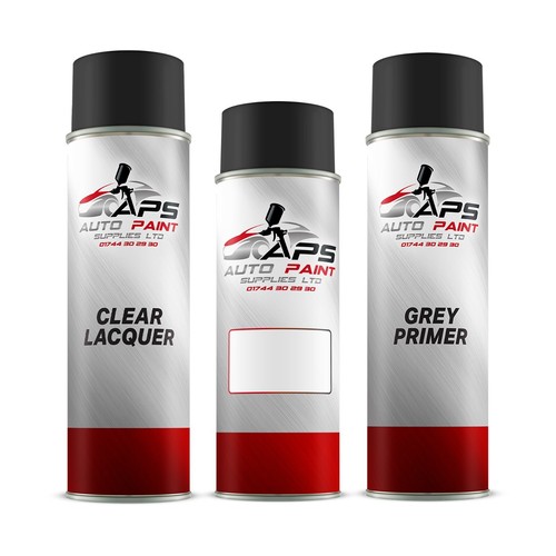 Aerosol spray paint kit mixed - paint,