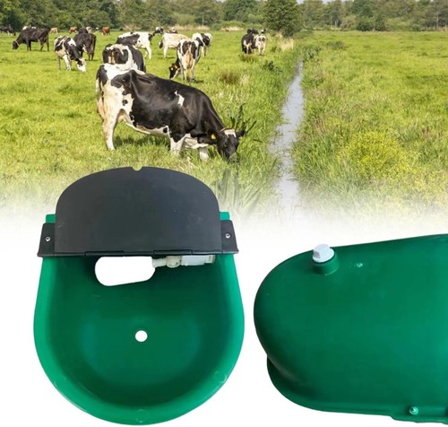 Automatic water drinking bowl - water,